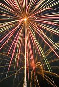 Image result for Latvia Independence Day Edgar's Rinkevics