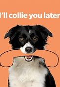Image result for Watch Dog Pun