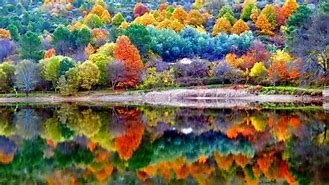Image result for Autumn Wallpaper 1600 X 900