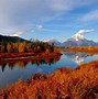 Image result for Fall Nature Wallpapers 1080P