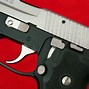 Image result for Sig Sauer P250 45 ACP