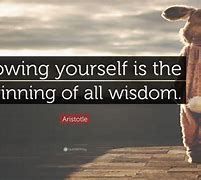 Image result for Quotes About Knowing Self