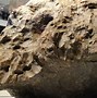 Image result for Russian Meteorite Explosion