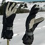 Image result for Gloves versus Mittens