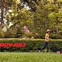 Image result for Tractor Supply Walk Behind Lawn Mowers