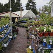 Image result for Lowe's Garden Center Greenhouse