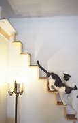 Image result for Wall Mounted Cat Steps