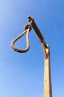 Image result for Gallows Knot