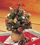 Image result for Lowe's Live Christmas Trees