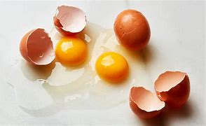 Image result for Bad Egg
