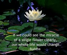 Image result for Spiritual Food for Thought Quotes