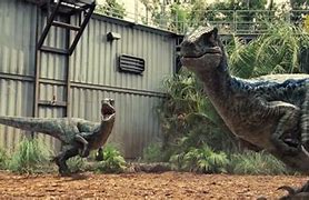 Image result for Dinosaur Real Jurassic Park