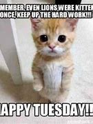 Image result for Tuesday Work Funny