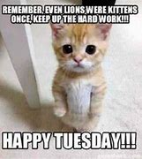 Image result for Funny Tuesday Work Motivation