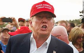 Image result for Make America Great Again Trump Wearing Hat