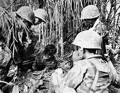 Image result for Vietnam War Colorized