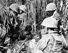 Image result for Vietnam War Life