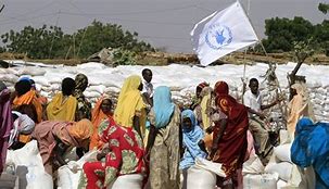 Image result for Un Darfur Sudan