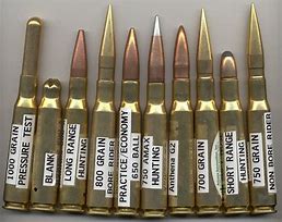 Image result for 50 Cal Ammo Types