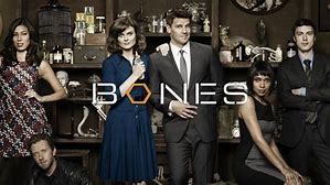 Image result for Fox and Bones Band