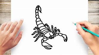 Image result for Easy Drawing of a Scorpian