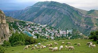 Image result for Sildi Dagestan