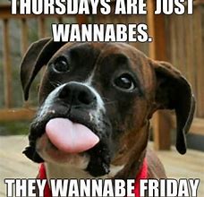 Image result for Funny Animal Thursday Quotes