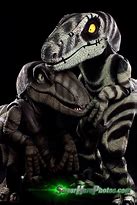 Image result for Jurassic World Raptor Costume