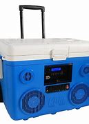Image result for Stainless Steel Cooler Box