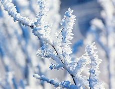 Image result for Lowe's Scratch and Dent Frost Free Freezers