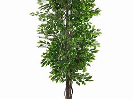 Image result for artificial trees for home decor