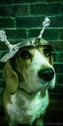 Image result for Tin Foil Hats Pics