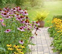 Image result for Perennial Flower Garden Border