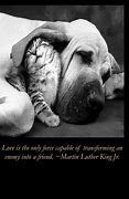 Image result for Beautiful Quotes About Animals
