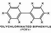 Image result for Polychlorinated Biphenyl