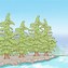 Image result for Identifying Cedar Trees