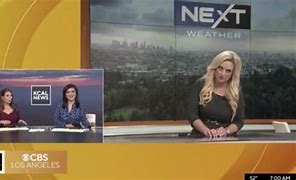 Image result for LA meteorologist collapses on TV 