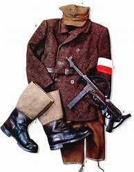 Image result for WW2 Polish Uniforms