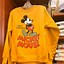 Image result for Walt Disney World Retro Hoodie