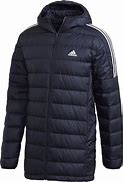 Image result for Adidas Essentials Insulated Hooded Jacket