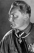 Image result for Hermann Goering Division Smock