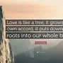 Image result for Love Is Like Sayings