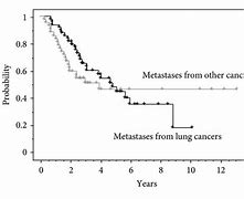 Image result for Prognosis of Metastatic Lung Cancer