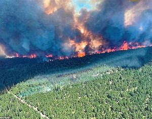Image result for Canadian Fires