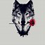 Image result for Wolf Phone Backgrounds