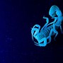 Image result for Scorpion Robot Wallpaper
