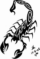 Image result for Scorpion Outline