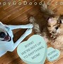 Image result for Funny Valentine Messages From Dogs