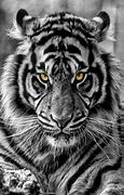 Image result for Electric Tiger Wallpapers