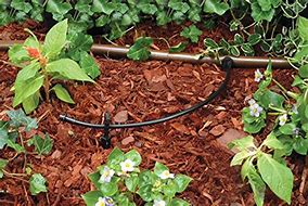 Image result for Rain Bird T70-500S Drip Irrigation Blank Tubing,.7",500 Ft.
